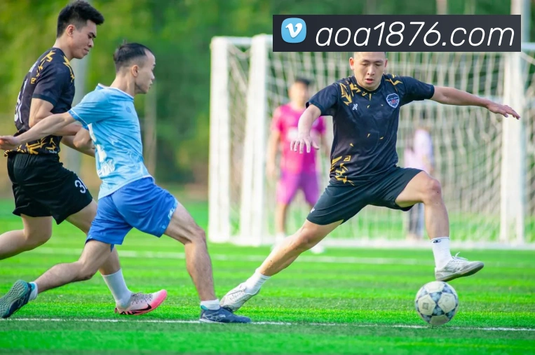 aoa体育官网全站App